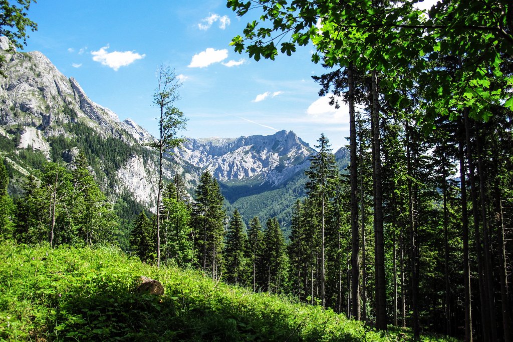 23_Abstieg ins Tal.jpg